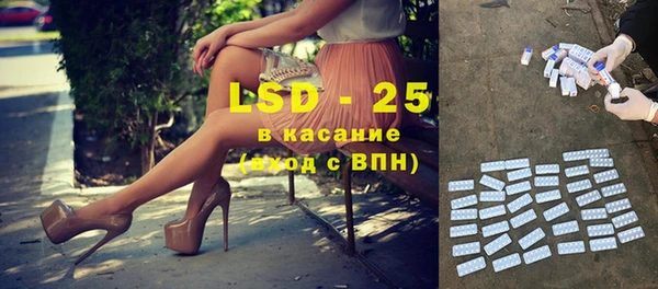 СК Новозыбков