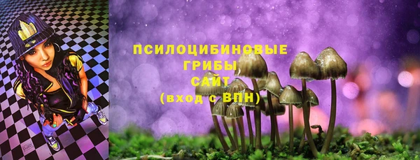СК Новозыбков