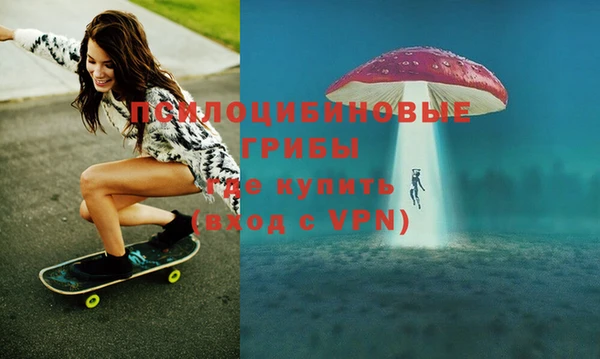 СК Новозыбков