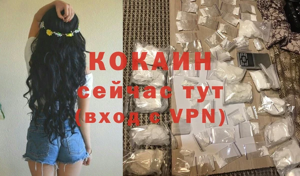СК Новозыбков