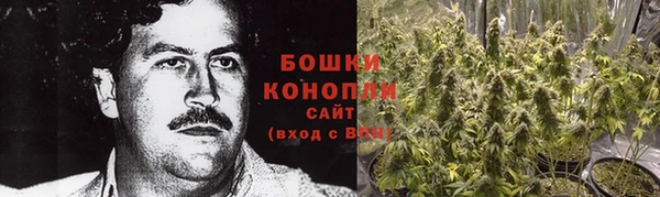 СК Новозыбков