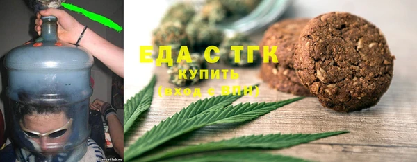 СК Новозыбков