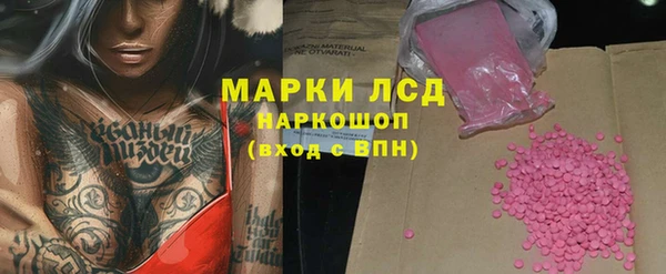 индика Бабаево