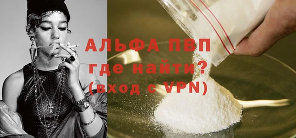 СК Новозыбков