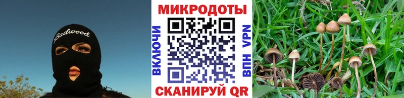 хочу наркоту  Курильск  мега онион  Галлюциногенные грибы ЛСД 
