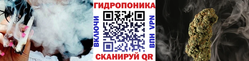 блэк спрут вход  цены   Курильск  Каннабис ГИДРОПОН 